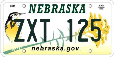 NE license plate ZXT125