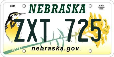 NE license plate ZXT725