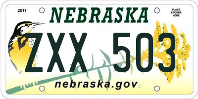 NE license plate ZXX503