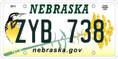NE license plate ZYB738