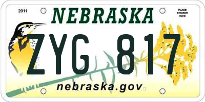 NE license plate ZYG817