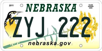 NE license plate ZYJ222