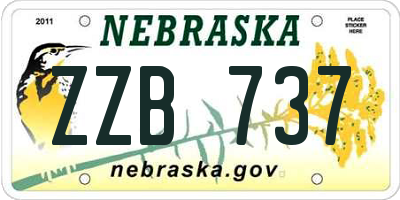 NE license plate ZZB737