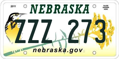NE license plate ZZZ273