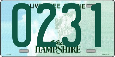 NH license plate 0231