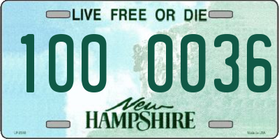 NH license plate 1000036