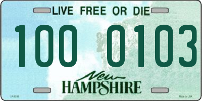 NH license plate 1000103