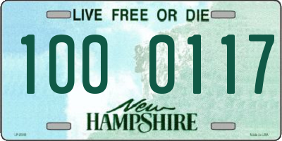 NH license plate 1000117