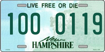 NH license plate 1000119