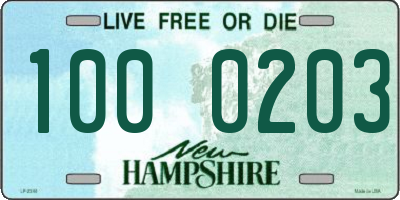 NH license plate 1000203