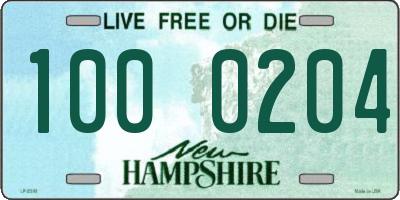 NH license plate 1000204