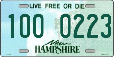 NH license plate 1000223