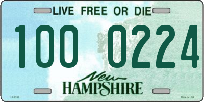 NH license plate 1000224