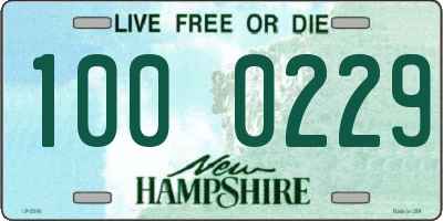 NH license plate 1000229