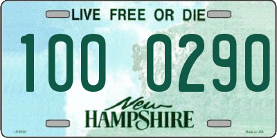 NH license plate 1000290