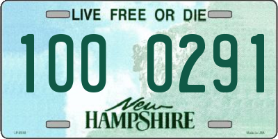 NH license plate 1000291