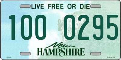 NH license plate 1000295