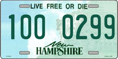 NH license plate 1000299