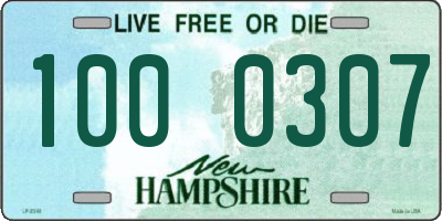 NH license plate 1000307