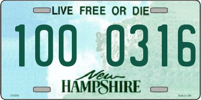 NH license plate 1000316