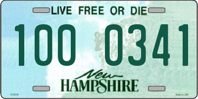 NH license plate 1000341