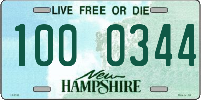 NH license plate 1000344