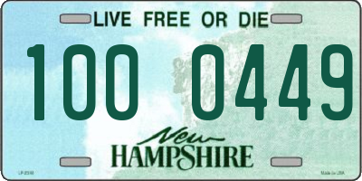 NH license plate 1000449