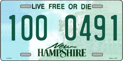 NH license plate 1000491