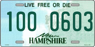 NH license plate 1000603