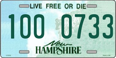 NH license plate 1000733