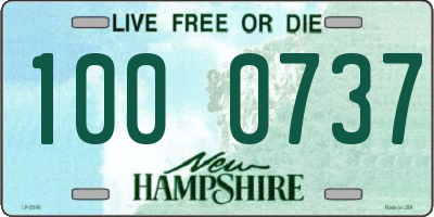 NH license plate 1000737