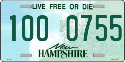 NH license plate 1000755