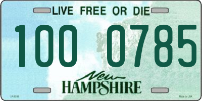 NH license plate 1000785