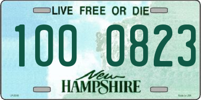 NH license plate 1000823