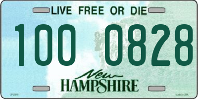 NH license plate 1000828