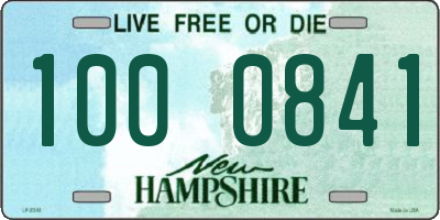 NH license plate 1000841