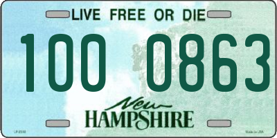 NH license plate 1000863