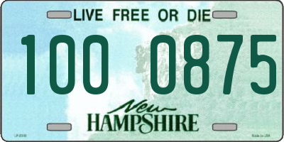 NH license plate 1000875