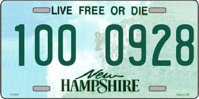 NH license plate 1000928