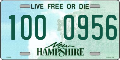 NH license plate 1000956