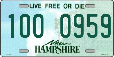 NH license plate 1000959