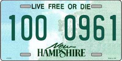 NH license plate 1000961