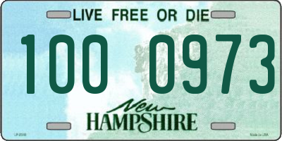 NH license plate 1000973