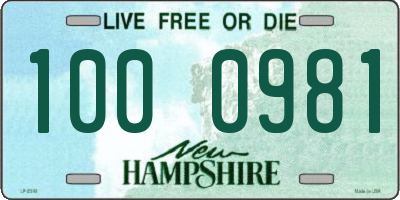 NH license plate 1000981