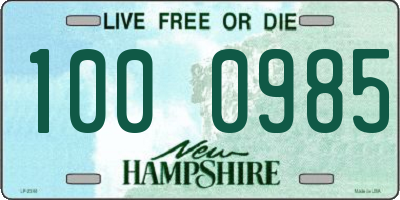 NH license plate 1000985