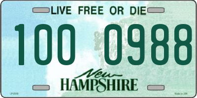 NH license plate 1000988