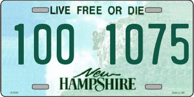 NH license plate 1001075