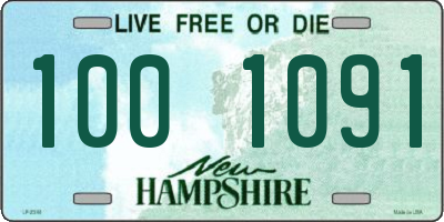 NH license plate 1001091