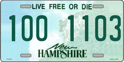 NH license plate 1001103
