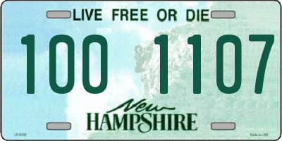 NH license plate 1001107